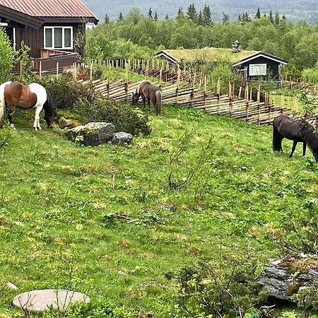 Charming Mountain Near Hemsedal Dom wakacyjny Markegardlian