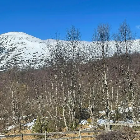 Dom wakacyjny Charming Mountain Near Hemsedal